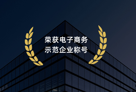 婧麒荣获江西省2017电子商务示范企业称号